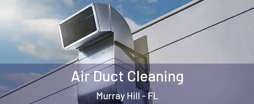 Air Duct Cleaning Murray Hill - FL