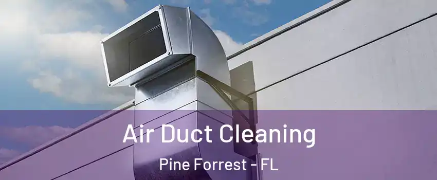 Air Duct Cleaning Pine Forrest - FL