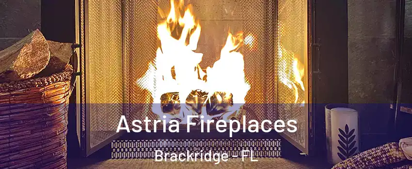 Astria Fireplaces Brackridge - FL