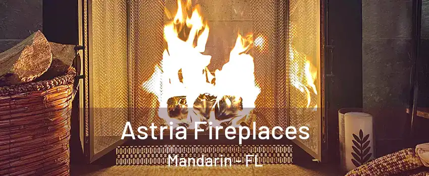 Astria Fireplaces Mandarin - FL