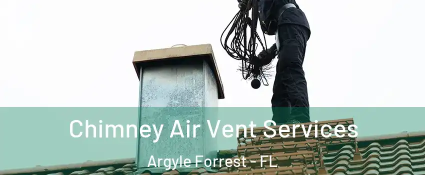 Chimney Air Vent Services Argyle Forrest - FL