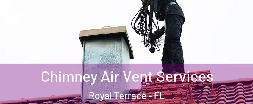 Chimney Air Vent Services Royal Terrace - FL