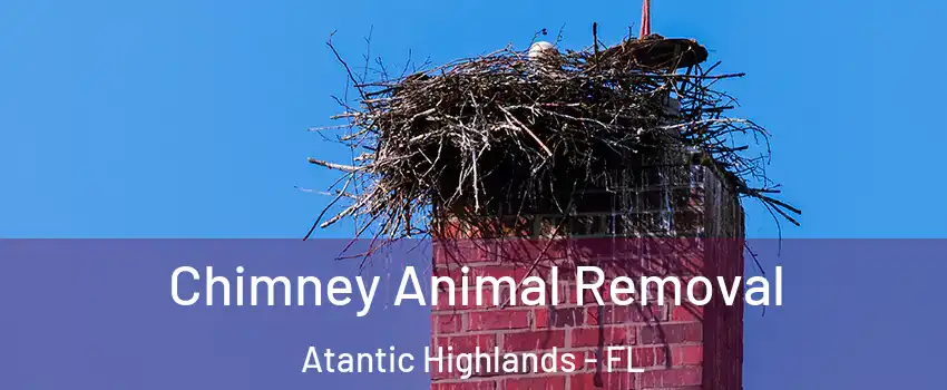 Chimney Animal Removal Atantic Highlands - FL