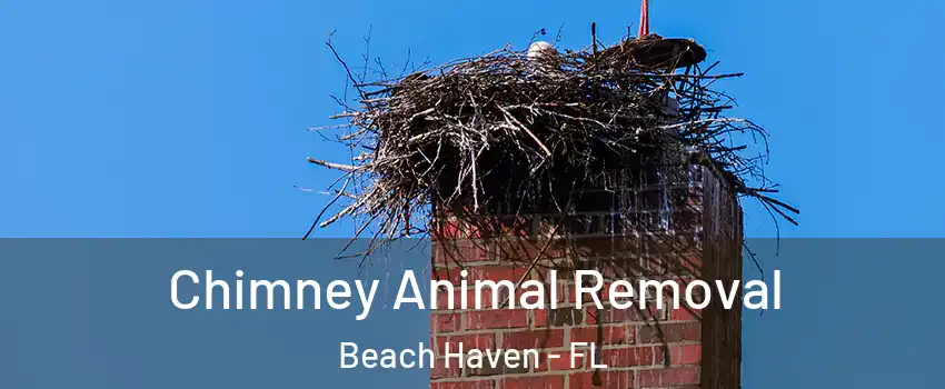 Chimney Animal Removal Beach Haven - FL