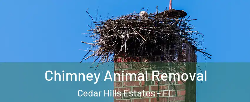 Chimney Animal Removal Cedar Hills Estates - FL