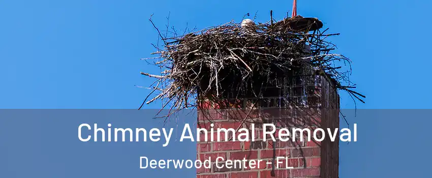 Chimney Animal Removal Deerwood Center - FL