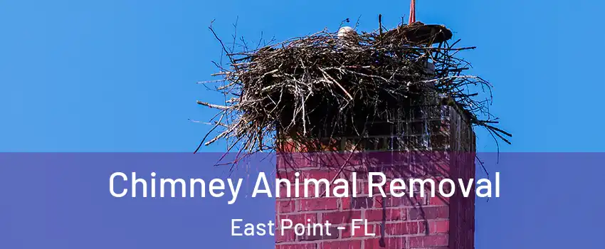 Chimney Animal Removal East Point - FL