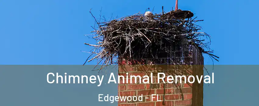 Chimney Animal Removal Edgewood - FL