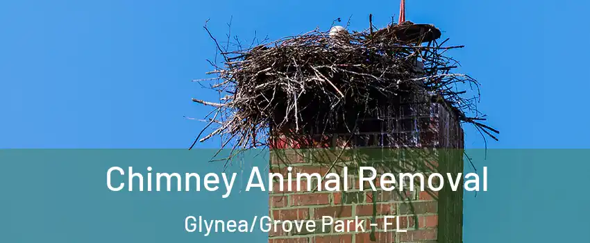 Chimney Animal Removal Glynea/Grove Park - FL