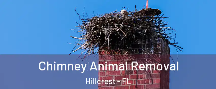 Chimney Animal Removal Hillcrest - FL