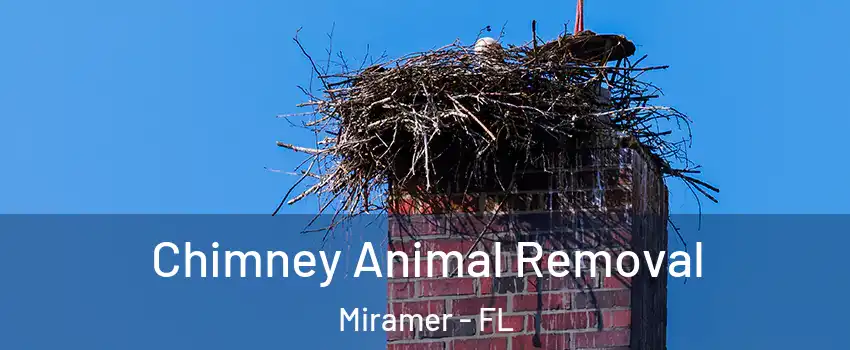 Chimney Animal Removal Miramer - FL