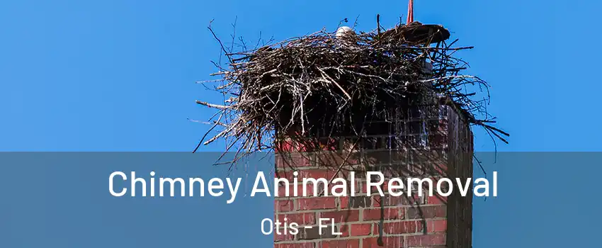 Chimney Animal Removal Otis - FL