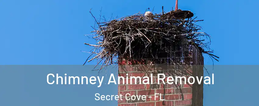 Chimney Animal Removal Secret Cove - FL