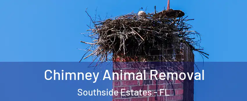 Chimney Animal Removal Southside Estates - FL