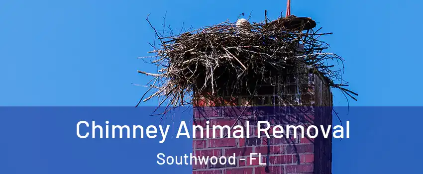 Chimney Animal Removal Southwood - FL