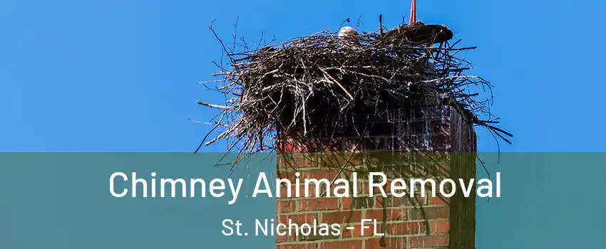 Chimney Animal Removal St. Nicholas - FL