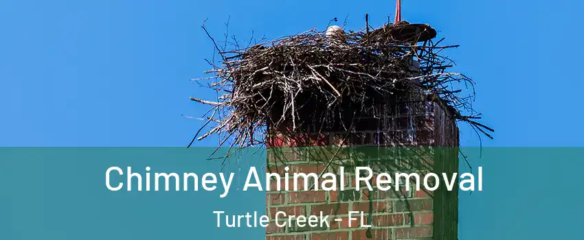 Chimney Animal Removal Turtle Creek - FL