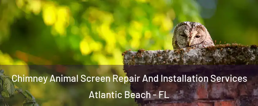 Chimney Animal Screen Repair And Installation Services Atlantic Beach - FL