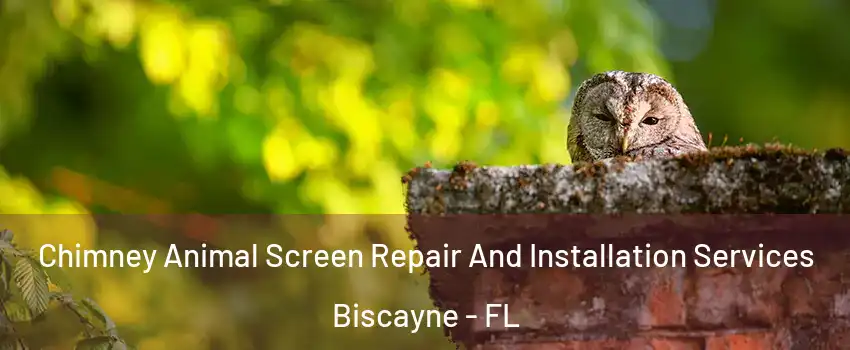 Chimney Animal Screen Repair And Installation Services Biscayne - FL