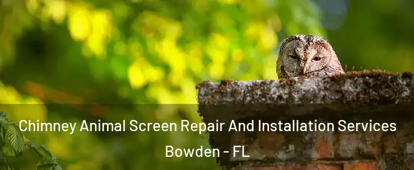 Chimney Animal Screen Repair And Installation Services Bowden - FL