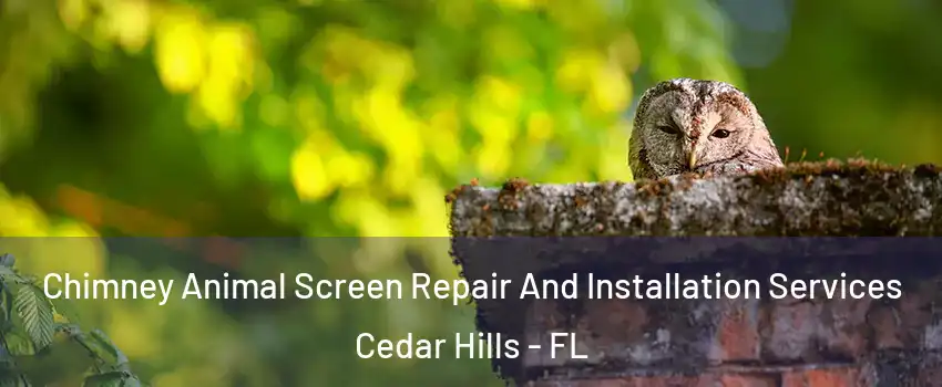 Chimney Animal Screen Repair And Installation Services Cedar Hills - FL