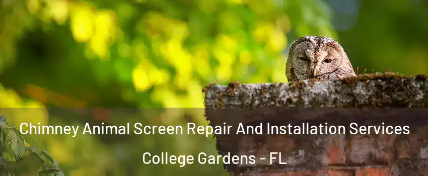 Chimney Animal Screen Repair And Installation Services College Gardens - FL