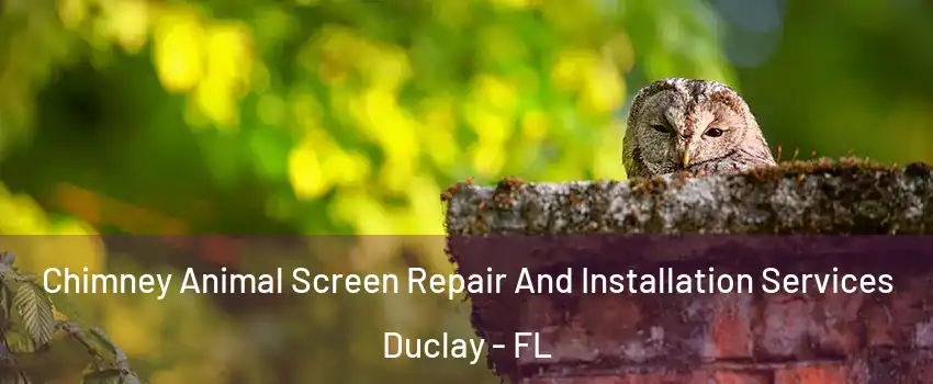 Chimney Animal Screen Repair And Installation Services Duclay - FL