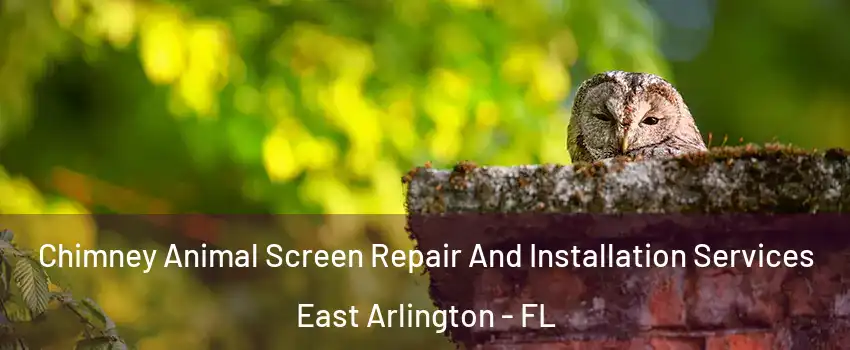 Chimney Animal Screen Repair And Installation Services East Arlington - FL