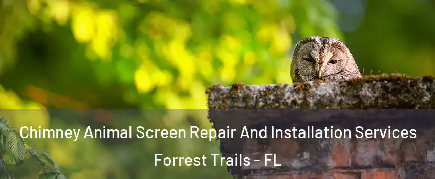 Chimney Animal Screen Repair And Installation Services Forrest Trails - FL