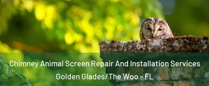 Chimney Animal Screen Repair And Installation Services Golden Glades/The Woo - FL