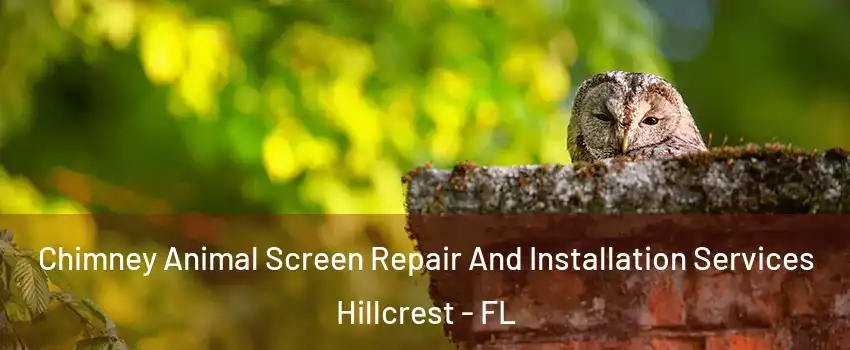 Chimney Animal Screen Repair And Installation Services Hillcrest - FL