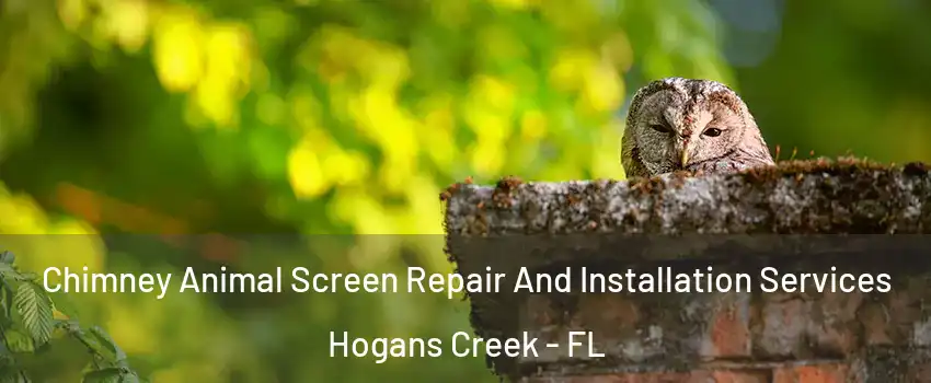 Chimney Animal Screen Repair And Installation Services Hogans Creek - FL