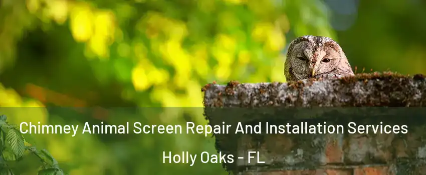 Chimney Animal Screen Repair And Installation Services Holly Oaks - FL