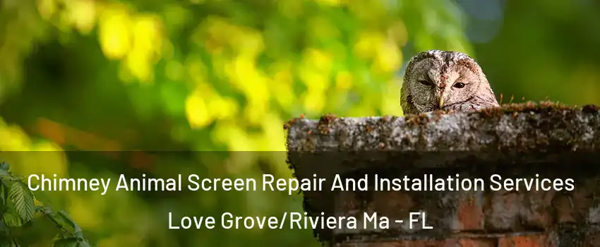 Chimney Animal Screen Repair And Installation Services Love Grove/Riviera Ma - FL