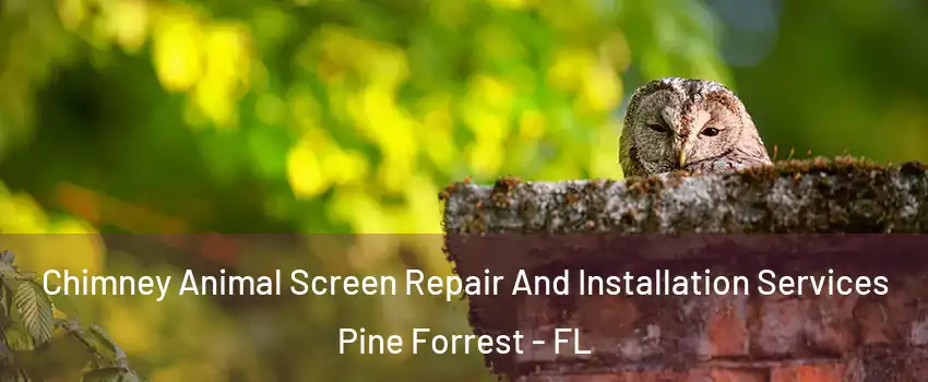 Chimney Animal Screen Repair And Installation Services Pine Forrest - FL