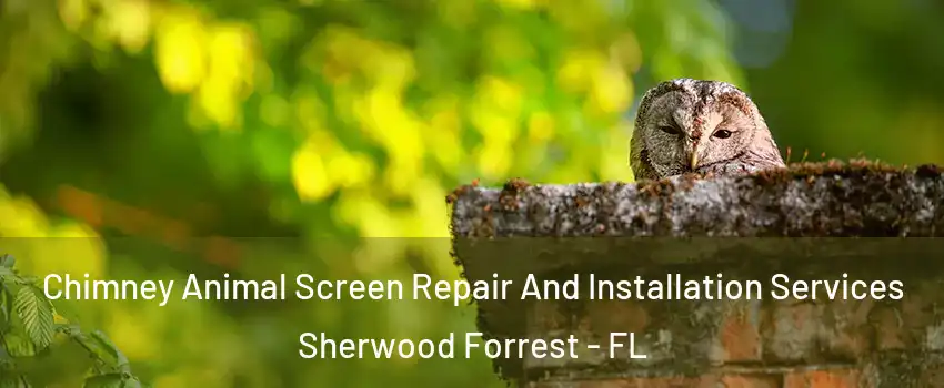 Chimney Animal Screen Repair And Installation Services Sherwood Forrest - FL