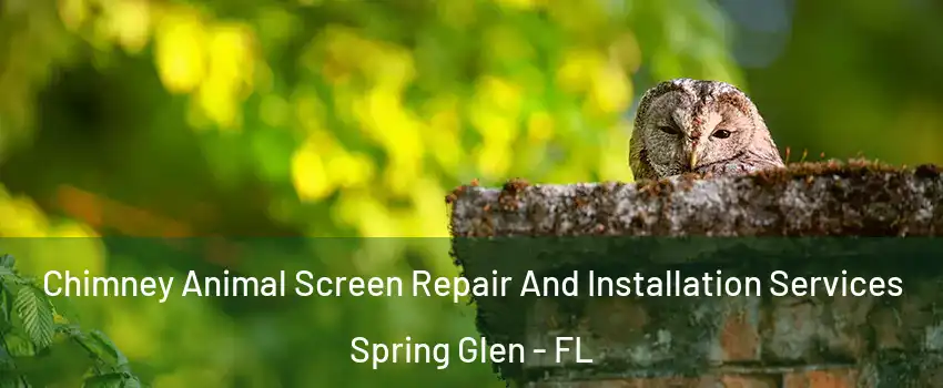 Chimney Animal Screen Repair And Installation Services Spring Glen - FL