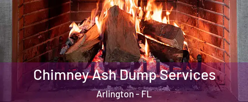 Chimney Ash Dump Services Arlington - FL