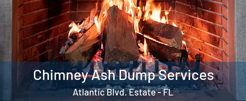 Chimney Ash Dump Services Atlantic Blvd. Estate - FL