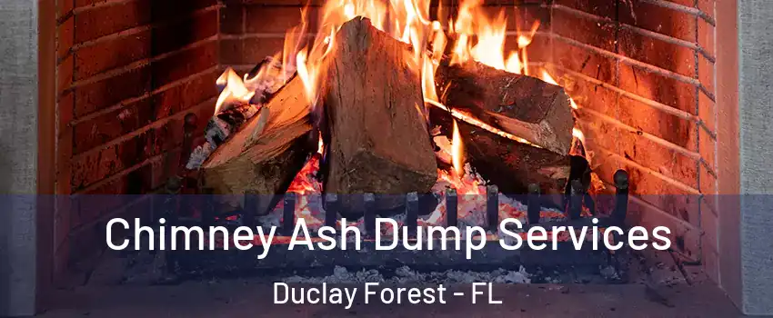 Chimney Ash Dump Services Duclay Forest - FL