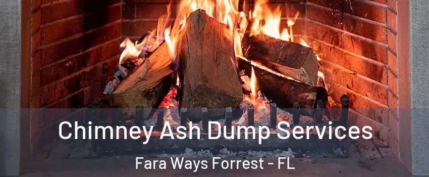 Chimney Ash Dump Services Fara Ways Forrest - FL