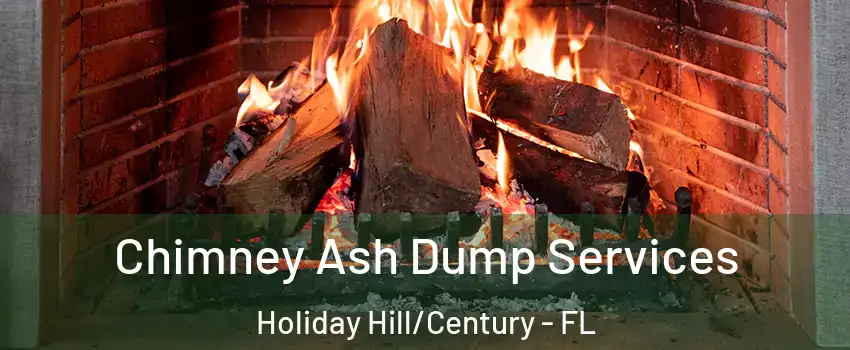 Chimney Ash Dump Services Holiday Hill/Century - FL