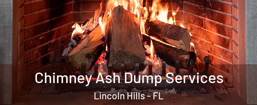 Chimney Ash Dump Services Lincoln Hills - FL