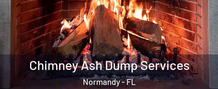 Chimney Ash Dump Services Normandy - FL