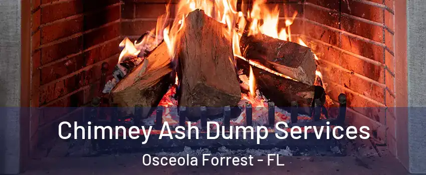 Chimney Ash Dump Services Osceola Forrest - FL