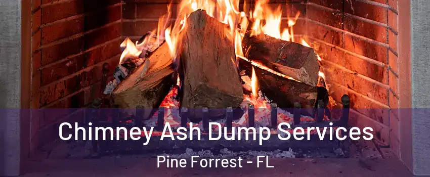 Chimney Ash Dump Services Pine Forrest - FL