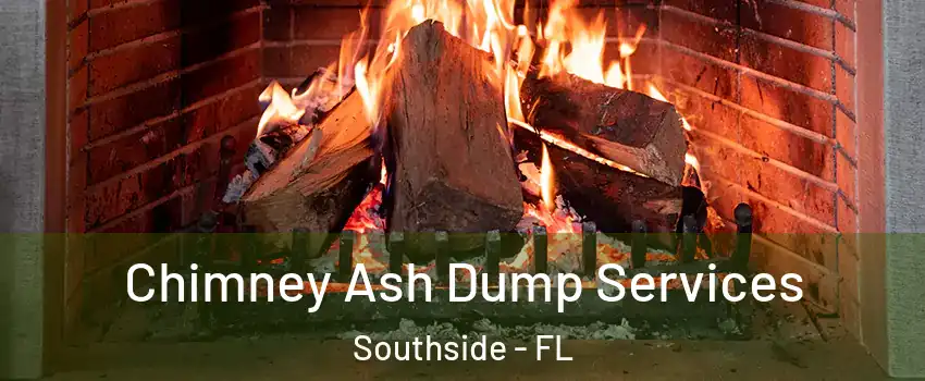 Chimney Ash Dump Services Southside - FL