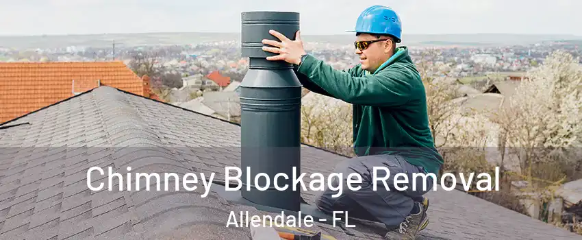 Chimney Blockage Removal Allendale - FL