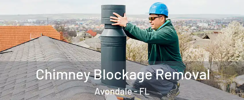 Chimney Blockage Removal Avondale - FL