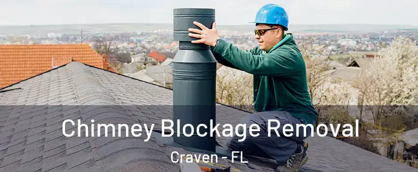 Chimney Blockage Removal Craven - FL